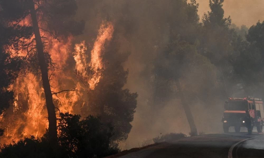 Μεγάλης έκτασης πυρκαγιά σε πευκοδάσος στην Λίμνη της Εύβοιας